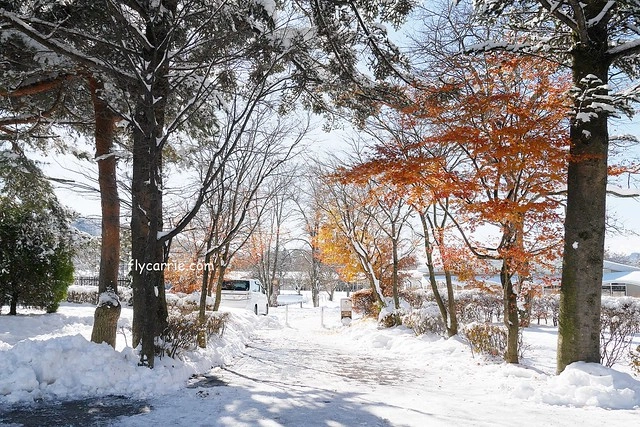 【日本長野】輕井澤~遇見東京第一場初雪，冬季絕美輕井澤一日遊，輕井澤王子Outlet好買好逛好吃，附東京到輕井澤交通方式&JR PASS券 @飛天璇的口袋