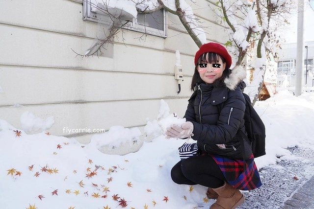 【日本長野】輕井澤~遇見東京第一場初雪，冬季絕美輕井澤一日遊，輕井澤王子Outlet好買好逛好吃，附東京到輕井澤交通方式&JR PASS券 @飛天璇的口袋