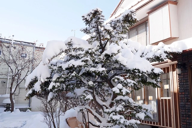 【日本長野】輕井澤~遇見東京第一場初雪，冬季絕美輕井澤一日遊，輕井澤王子Outlet好買好逛好吃，附東京到輕井澤交通方式&JR PASS券 @飛天璇的口袋