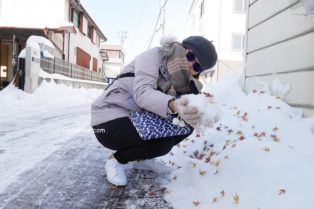 【日本長野】輕井澤~遇見東京第一場初雪，冬季絕美輕井澤一日遊，輕井澤王子Outlet好買好逛好吃，附東京到輕井澤交通方式&JR PASS券 @飛天璇的口袋