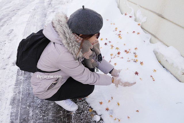 【日本長野】輕井澤~遇見東京第一場初雪，冬季絕美輕井澤一日遊，輕井澤王子Outlet好買好逛好吃，附東京到輕井澤交通方式&JR PASS券 @飛天璇的口袋