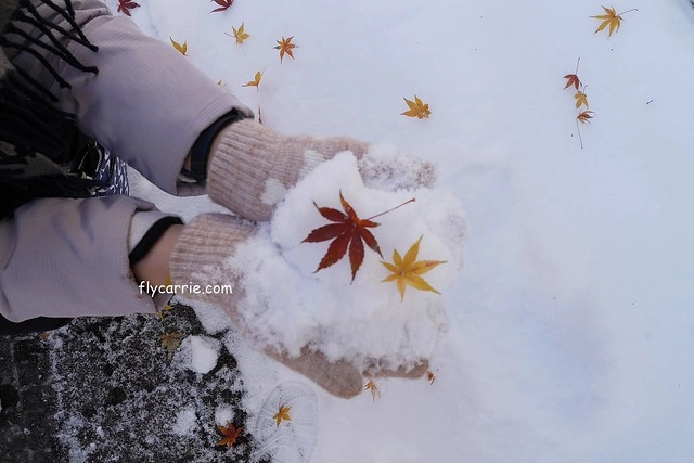 【日本長野】輕井澤~遇見東京第一場初雪，冬季絕美輕井澤一日遊，輕井澤王子Outlet好買好逛好吃，附東京到輕井澤交通方式&JR PASS券 @飛天璇的口袋