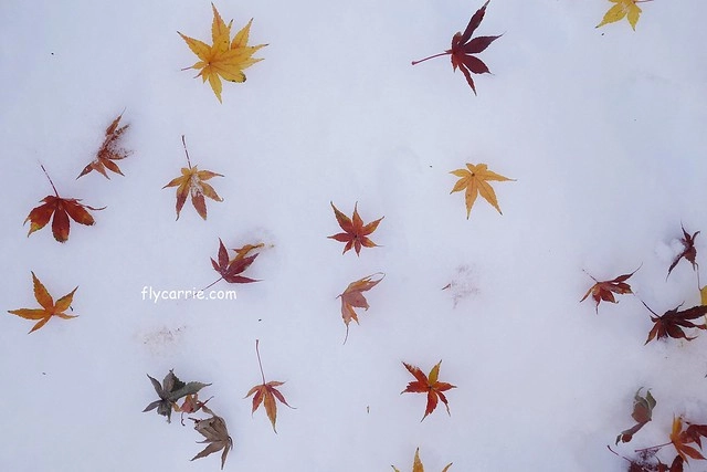 【日本長野】輕井澤~遇見東京第一場初雪，冬季絕美輕井澤一日遊，輕井澤王子Outlet好買好逛好吃，附東京到輕井澤交通方式&JR PASS券 @飛天璇的口袋