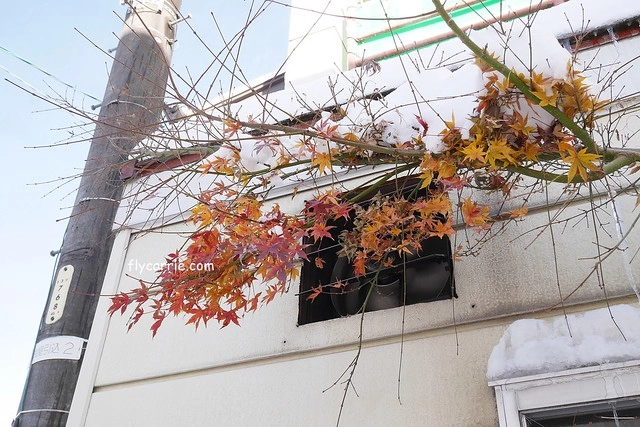 【日本長野】輕井澤~遇見東京第一場初雪，冬季絕美輕井澤一日遊，輕井澤王子Outlet好買好逛好吃，附東京到輕井澤交通方式&JR PASS券 @飛天璇的口袋