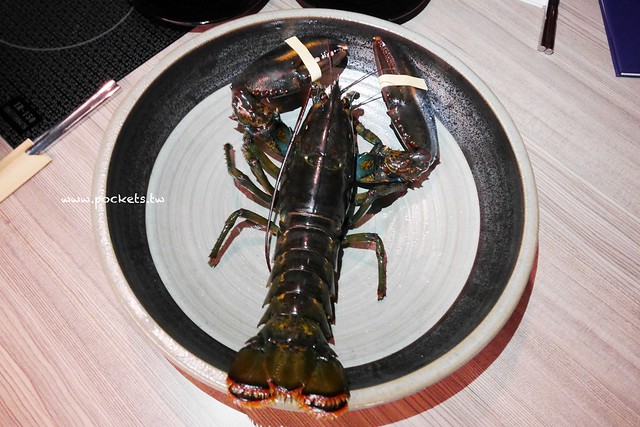 【台中南屯】灰鴿：台中CP值超高的火鍋餐廳，幾歲生日送幾隻蝦 @飛天璇的口袋