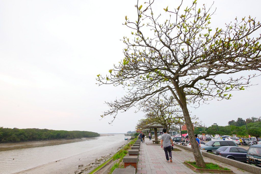 【新竹新豐】新豐紅樹林綠色步道：兼具休閒與觀光的生態保護區，走在被大自然包圍的綠色小隧道 @飛天璇的口袋