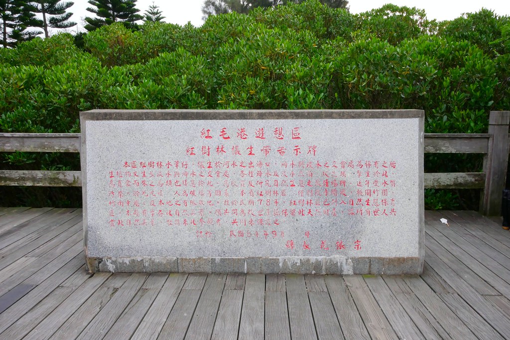 【新竹新豐】新豐紅樹林綠色步道：兼具休閒與觀光的生態保護區，走在被大自然包圍的綠色小隧道 @飛天璇的口袋