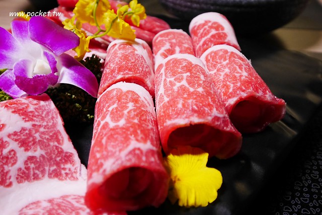 【台中南屯】灰鴿：台中CP值超高的火鍋餐廳，幾歲生日送幾隻蝦 @飛天璇的口袋