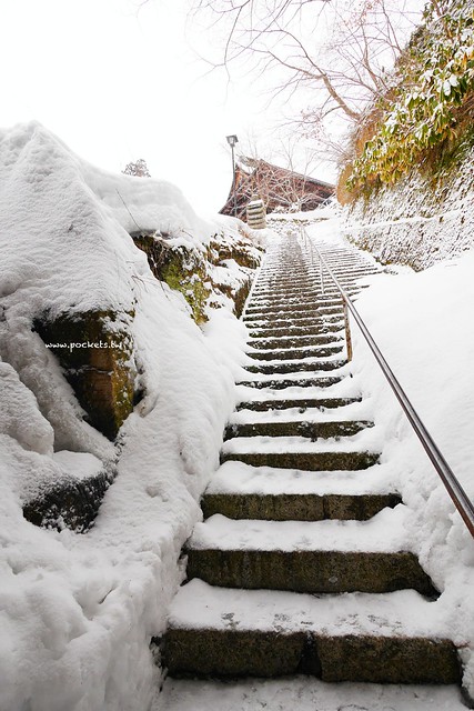 圓藏寺┃福島旅遊景點：赤牛的發源地，日本的三大虚空藏尊之一，摸紅牛許願就會成真哦！ @飛天璇的口袋