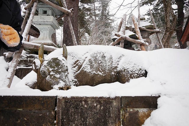 圓藏寺┃福島旅遊景點：赤牛的發源地，日本的三大虚空藏尊之一，摸紅牛許願就會成真哦！ @飛天璇的口袋
