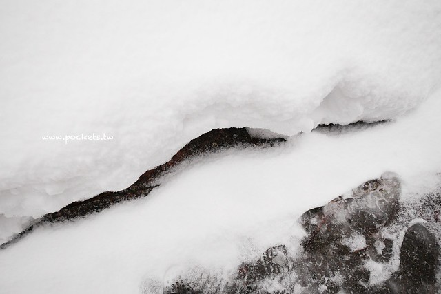 圓藏寺┃福島旅遊景點：赤牛的發源地，日本的三大虚空藏尊之一，摸紅牛許願就會成真哦！ @飛天璇的口袋