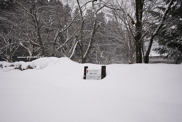 圓藏寺┃福島旅遊景點：赤牛的發源地，日本的三大虚空藏尊之一，摸紅牛許願就會成真哦！ @飛天璇的口袋