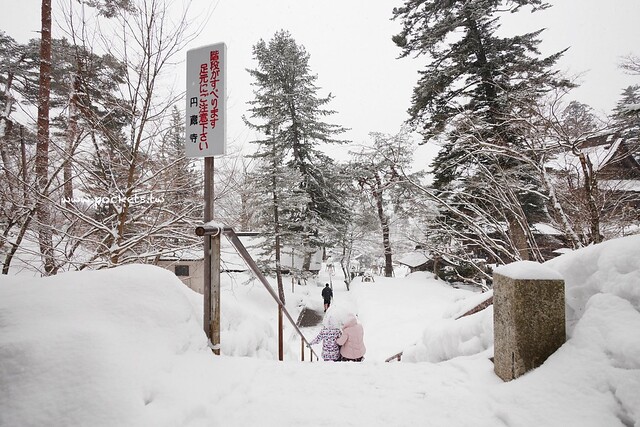 圓藏寺┃福島旅遊景點：赤牛的發源地，日本的三大虚空藏尊之一，摸紅牛許願就會成真哦！ @飛天璇的口袋