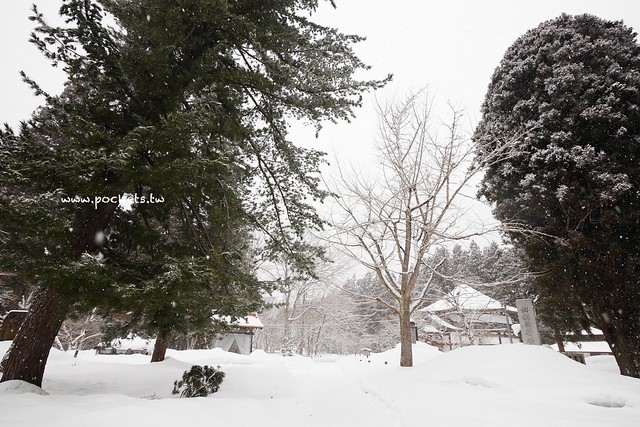 圓藏寺┃福島旅遊景點：赤牛的發源地，日本的三大虚空藏尊之一，摸紅牛許願就會成真哦！ @飛天璇的口袋