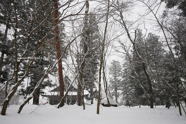 圓藏寺┃福島旅遊景點：赤牛的發源地，日本的三大虚空藏尊之一，摸紅牛許願就會成真哦！ @飛天璇的口袋