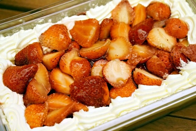 集集棕梠泉民宿┃南投民宿推薦：夏日南洋風情的優質民宿，擁有獨立大浴缸、免費wifi、腳踏車出借 @飛天璇的口袋