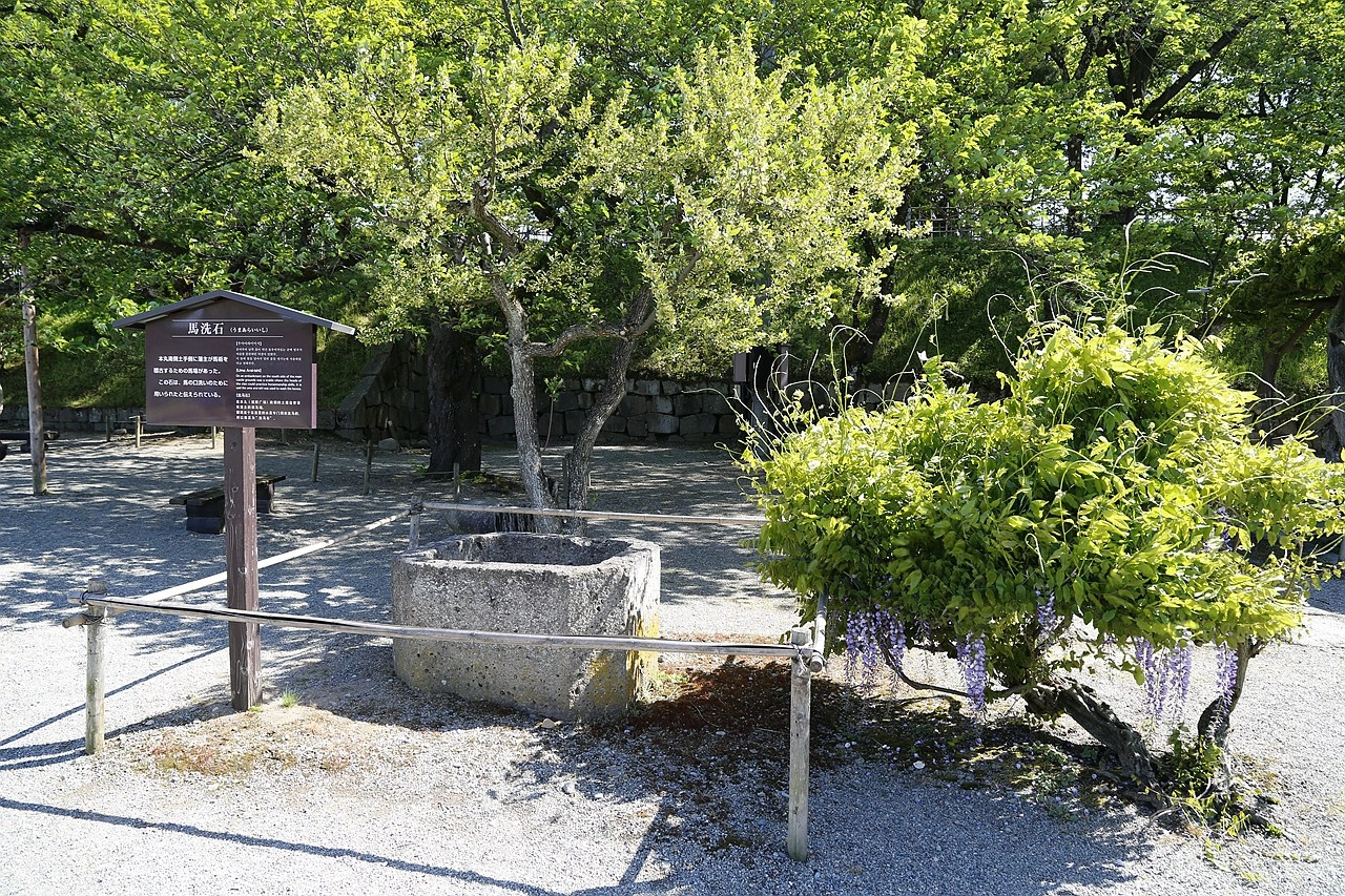 日本福島｜會津若松城 鶴城．登上天守閣眺望福島市景，大河劇八重之櫻拍攝場景 @飛天璇的口袋