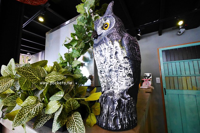 下町咖啡屋┃台中南屯美食：以貓頭鷹為主題的日式咖啡館，轉角遇見都市中的綠色森林，餐點以輕食甜點下午茶為主 @飛天璇的口袋