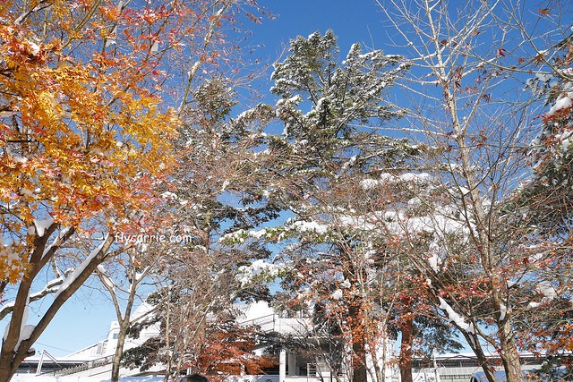 【日本長野】輕井澤~遇見東京第一場初雪，冬季絕美輕井澤一日遊，輕井澤王子Outlet好買好逛好吃，附東京到輕井澤交通方式&JR PASS券 @飛天璇的口袋