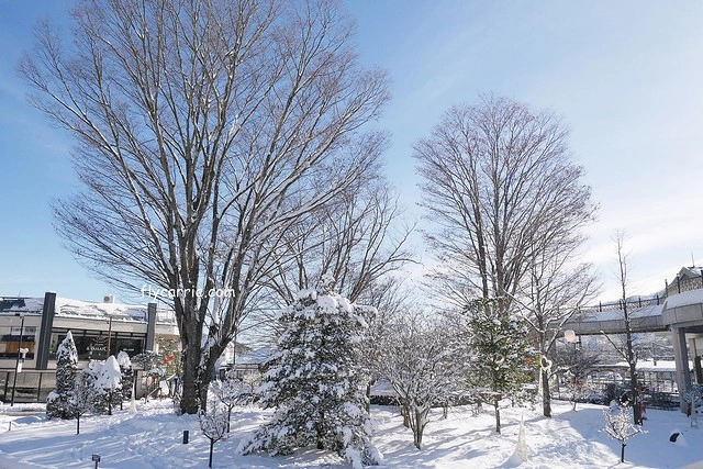 【日本長野】輕井澤~遇見東京第一場初雪，冬季絕美輕井澤一日遊，輕井澤王子Outlet好買好逛好吃，附東京到輕井澤交通方式&JR PASS券 @飛天璇的口袋