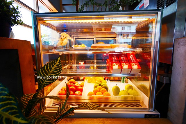 下町咖啡屋┃台中南屯美食：以貓頭鷹為主題的日式咖啡館，轉角遇見都市中的綠色森林，餐點以輕食甜點下午茶為主 @飛天璇的口袋