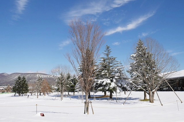 【日本長野】輕井澤~遇見東京第一場初雪，冬季絕美輕井澤一日遊，輕井澤王子Outlet好買好逛好吃，附東京到輕井澤交通方式&JR PASS券 @飛天璇的口袋