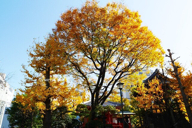 日本東京｜雷門+淺草寺+晴空塔一日遊，旅遊網站統計，觀光客第一次到東京必遊景點 @飛天璇的口袋