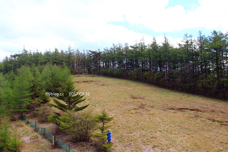 福島五天四夜自駕┃安達太良山：搭乘纜車欣賞日本百座名山，5/13~6/4期間長達1500公尺的百萬登海，春綠、秋楓、冬雪&hellip;一年四季不同美景 @飛天璇的口袋