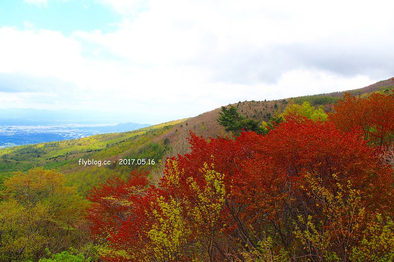 福島五天四夜自駕┃安達太良山：搭乘纜車欣賞日本百座名山，5/13~6/4期間長達1500公尺的百萬登海，春綠、秋楓、冬雪&hellip;一年四季不同美景 @飛天璇的口袋