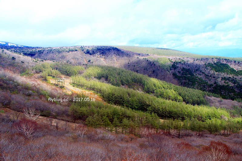 福島五天四夜自駕┃安達太良山：搭乘纜車欣賞日本百座名山，5/13~6/4期間長達1500公尺的百萬登海，春綠、秋楓、冬雪&hellip;一年四季不同美景 @飛天璇的口袋