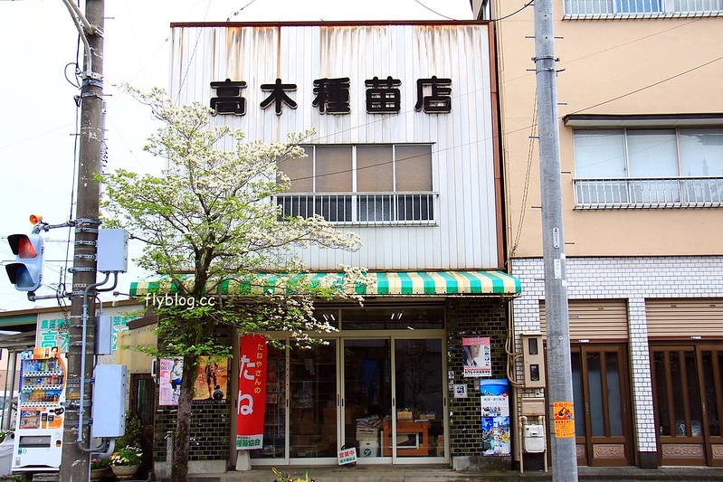 【日本靜岡】藤枝蓮華寺池公園~以花、水、鳥為主題的自然公園，有櫻花、荷花、杜鵑和紫藤花&hellip;等不同花卉，分享4/26紫藤花的最新花況 @飛天璇的口袋