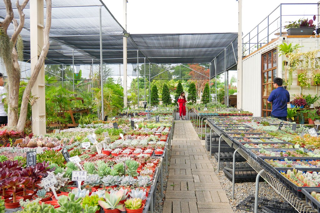 綠果庭院｜田尾多肉植物控的天堂，彰化田尾IG熱門打卡景點 @飛天璇的口袋