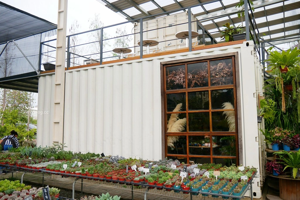 綠果庭院｜田尾多肉植物控的天堂，彰化田尾IG熱門打卡景點 @飛天璇的口袋