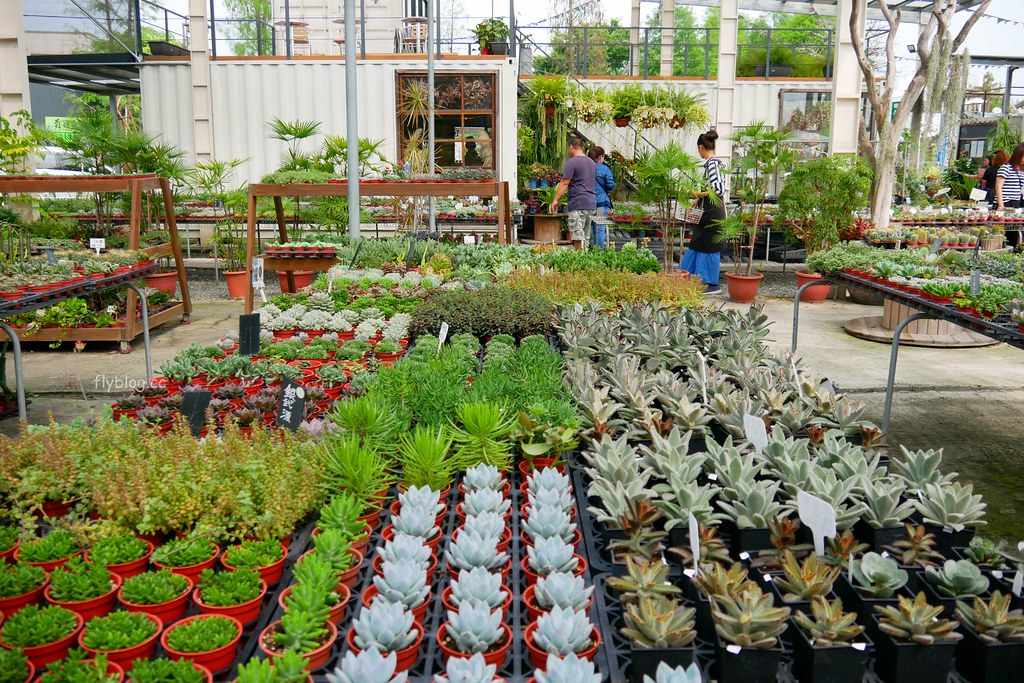 綠果庭院｜田尾多肉植物控的天堂，彰化田尾IG熱門打卡景點 @飛天璇的口袋