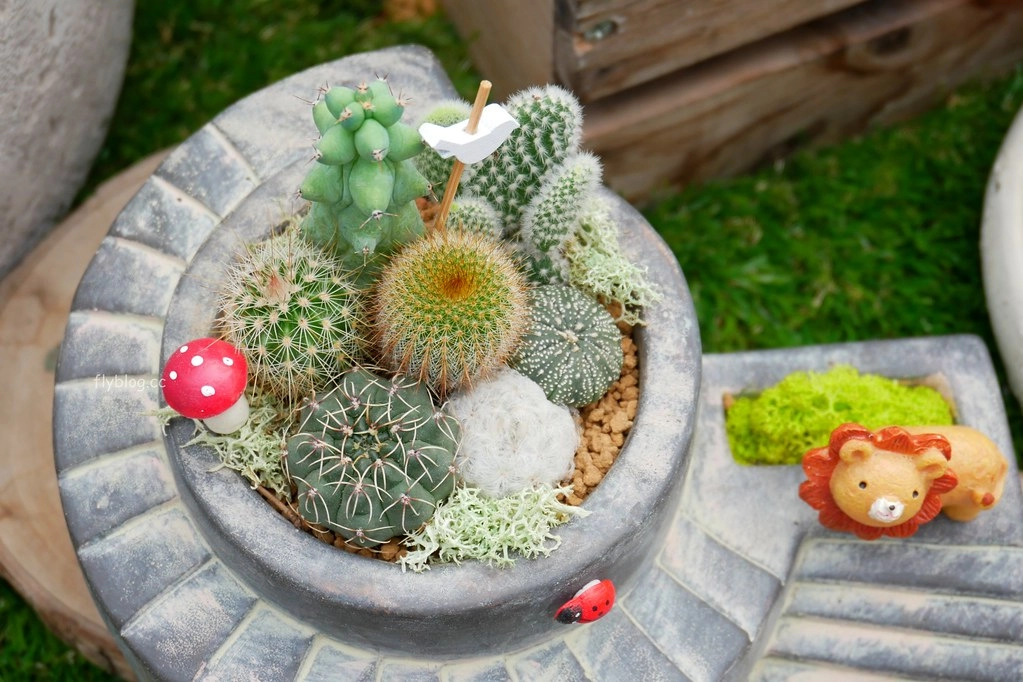 綠果庭院｜田尾多肉植物控的天堂，彰化田尾IG熱門打卡景點 @飛天璇的口袋