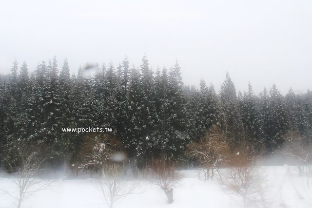 会津柳津&rarr;会津川口(JR只見線)┃福島旅遊景點：奧會津必訪旅遊景點推薦，搭火車欣賞冬季絕美只見線沿途風光 @飛天璇的口袋