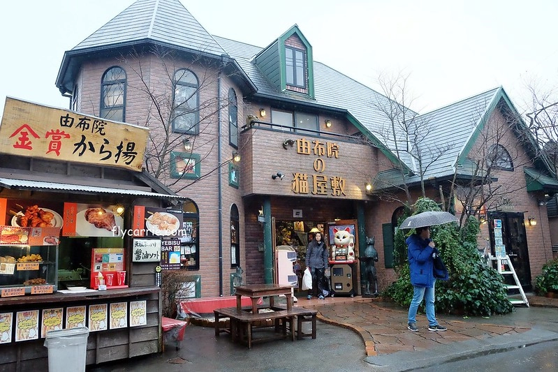 日本大分｜由布院一日遊，日本女性票選為最愛的夢幻度假勝地，寧靜美麗的溫泉小鎮森湯之平街道散策 @飛天璇的口袋