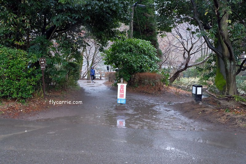 日本大分｜由布院一日遊，日本女性票選為最愛的夢幻度假勝地，寧靜美麗的溫泉小鎮森湯之平街道散策 @飛天璇的口袋