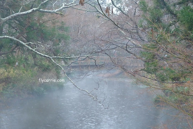 日本大分｜由布院一日遊，日本女性票選為最愛的夢幻度假勝地，寧靜美麗的溫泉小鎮森湯之平街道散策 @飛天璇的口袋