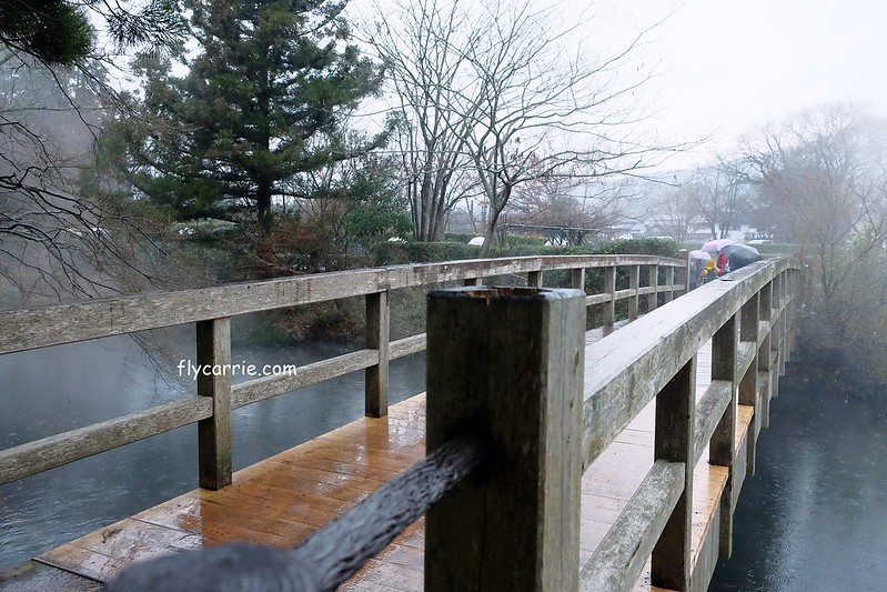 日本大分｜由布院一日遊，日本女性票選為最愛的夢幻度假勝地，寧靜美麗的溫泉小鎮森湯之平街道散策 @飛天璇的口袋
