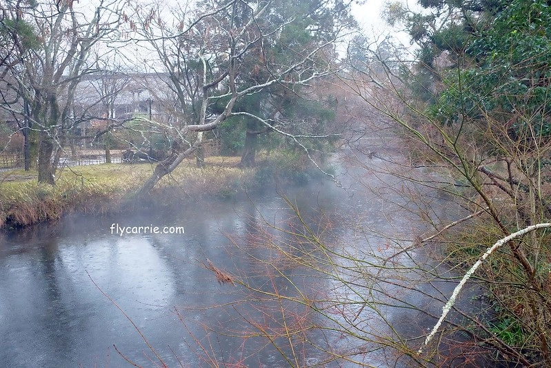 日本大分｜由布院一日遊，日本女性票選為最愛的夢幻度假勝地，寧靜美麗的溫泉小鎮森湯之平街道散策 @飛天璇的口袋