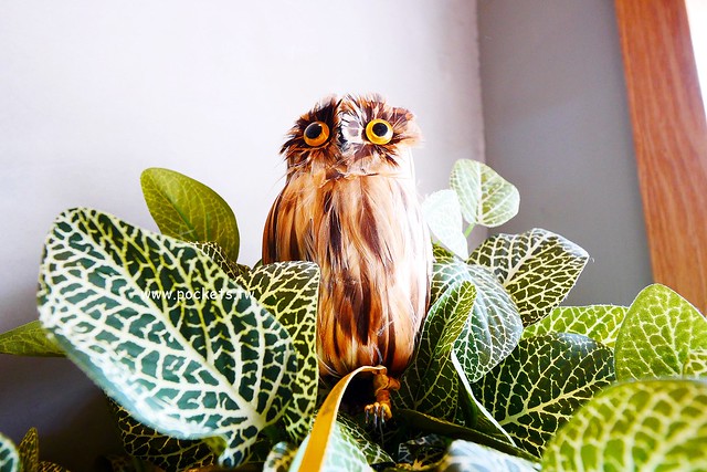 下町咖啡屋┃台中南屯美食：以貓頭鷹為主題的日式咖啡館，轉角遇見都市中的綠色森林，餐點以輕食甜點下午茶為主 @飛天璇的口袋