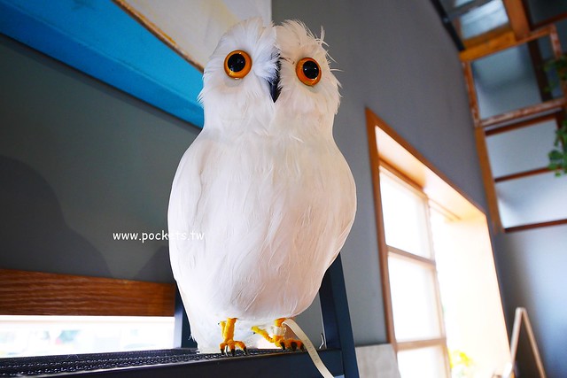 下町咖啡屋┃台中南屯美食：以貓頭鷹為主題的日式咖啡館，轉角遇見都市中的綠色森林，餐點以輕食甜點下午茶為主 @飛天璇的口袋