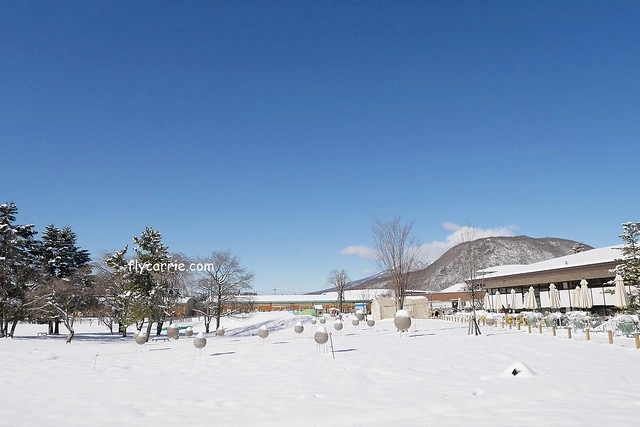 【日本長野】輕井澤~遇見東京第一場初雪，冬季絕美輕井澤一日遊，輕井澤王子Outlet好買好逛好吃，附東京到輕井澤交通方式&JR PASS券 @飛天璇的口袋