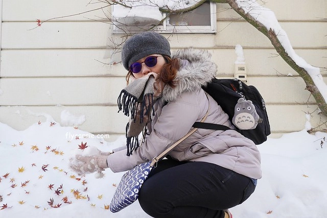 【日本長野】輕井澤~遇見東京第一場初雪，冬季絕美輕井澤一日遊，輕井澤王子Outlet好買好逛好吃，附東京到輕井澤交通方式&JR PASS券 @飛天璇的口袋
