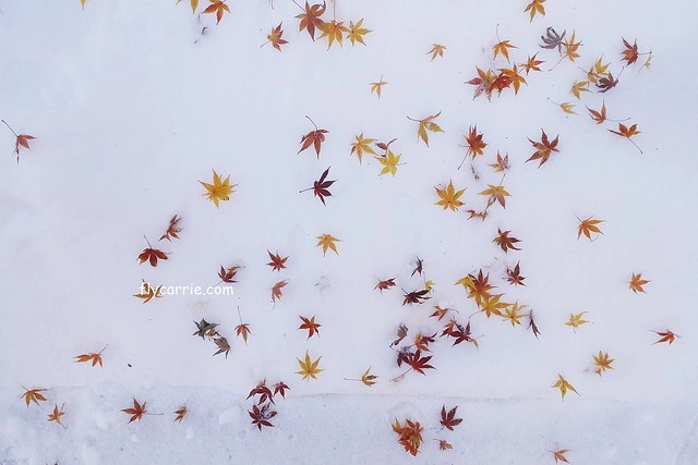 【日本長野】輕井澤~遇見東京第一場初雪，冬季絕美輕井澤一日遊，輕井澤王子Outlet好買好逛好吃，附東京到輕井澤交通方式&JR PASS券 @飛天璇的口袋