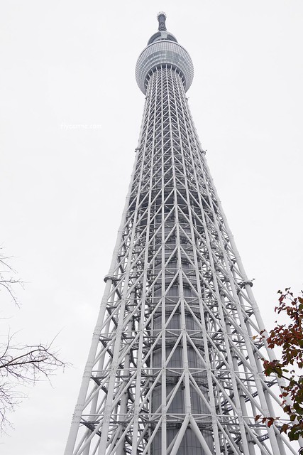 日本東京｜雷門+淺草寺+晴空塔一日遊，旅遊網站統計，觀光客第一次到東京必遊景點 @飛天璇的口袋