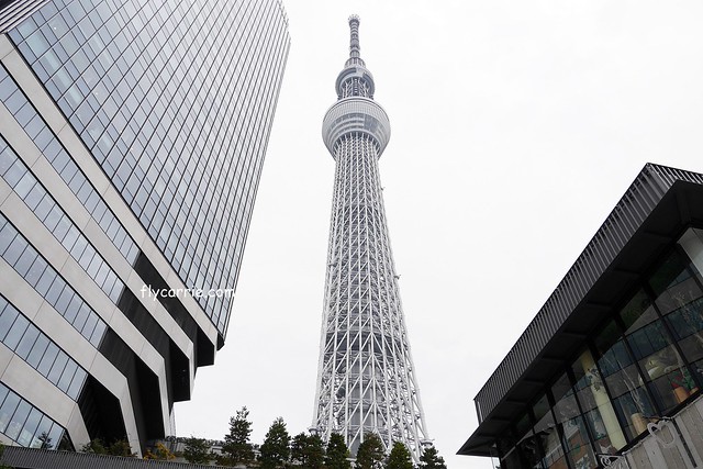 日本東京｜東京輕井澤5天4夜自由行懶人包，東京必玩景點、必吃美食、必買商品、飯店住宿、交通方式、行程分享 @飛天璇的口袋