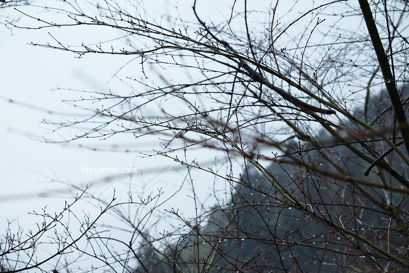 日本大分｜由布院一日遊，日本女性票選為最愛的夢幻度假勝地，寧靜美麗的溫泉小鎮森湯之平街道散策 @飛天璇的口袋