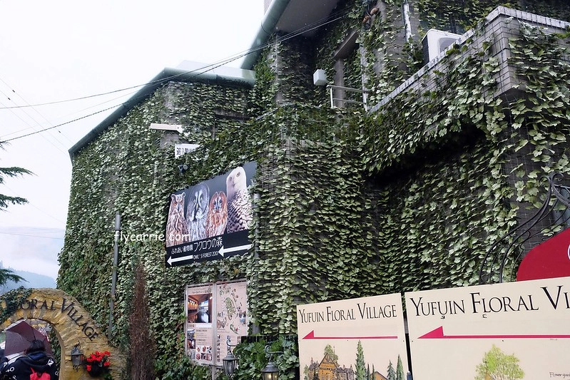 日本大分｜由布院一日遊，日本女性票選為最愛的夢幻度假勝地，寧靜美麗的溫泉小鎮森湯之平街道散策 @飛天璇的口袋